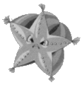 Thumbnail for version as of 06:02, 1 March 2010
