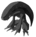 Thumbnail for version as of 06:05, 1 March 2010